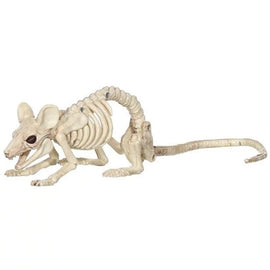 Mice Skeleton