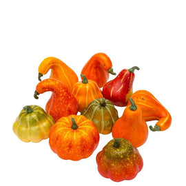 Bag Of Assorted Gourds 12Pc