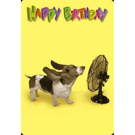 Greeting Card - Colossal Birthday General General