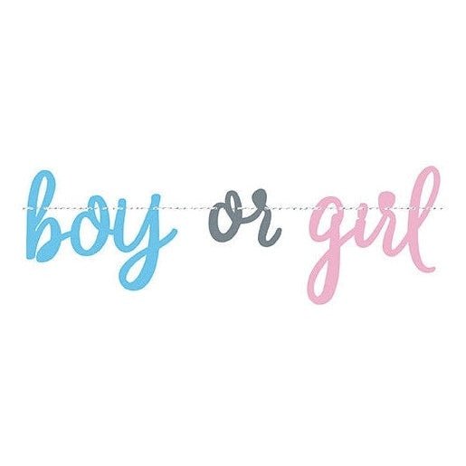 Baby Shower Decorations - Party Stuff