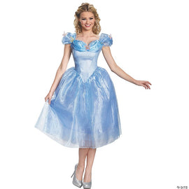Adult Cinderella costume
