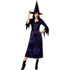 Adult Purple Witch Costume