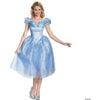 Adult Cinderella Costume