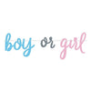 Blue Or Pink Gender Reveal Banner, 7Ft