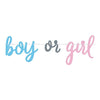 Blue Or Pink Gender Reveal Banner, 7Ft