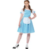 Adult Dorothy Costume