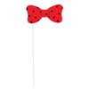 Props - Photo Booth, Confetti Birthday, 10 Count