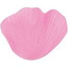 Rose Petals with Leaf