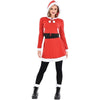 Sassy Claus Costume - Adult L