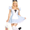 Storybook Alice Deluxe Costume
