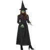 Wicked Witch Adult Xl