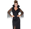 Adult Wicked Sorceress Costume