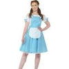 Adult Dorothy Costume