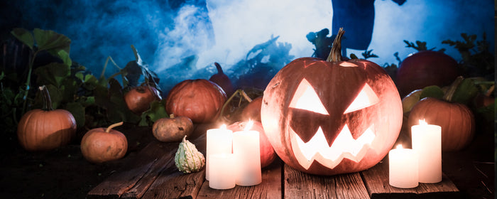 party_stuff_homepage_banner_halloween8.jpg__PID:5d32917e-7d10-4837-bda9-7fbf37827c84