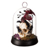 Skeleton Cloche With Orchids