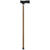 100Th Day Of School Small Walking Cane