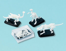 3-D Fossil Puzzles