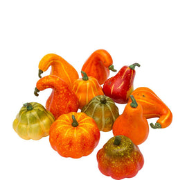 Bag Of Assorted Gourds 12Pc