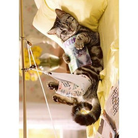 Avanti Cat In Traction Get Well Greeting Card
