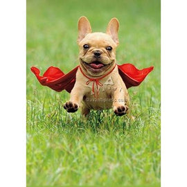 Avanti Frenchie Jumping Wearing Red C Thank You Greeting Card