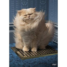 Avanti Cat Over Grate Almost Funny Greeting Card