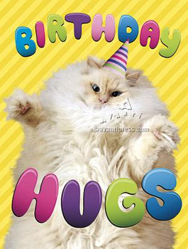 Avanti Birthday Hugs Cat Birthday Greeting Card