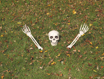 Buried Alive Skeleton Parts Prop