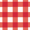 American Summer Red Gingham Beverage Napkins