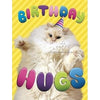 Avanti Birthday Hugs Cat Birthday Greeting Card