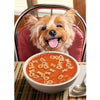 Avanti Dog / Get Well Soup Get Well Greeting Card