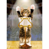 Avanti Kitty KonduCountor Congratulations Greeting Card