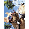 Avanti Motorcycle Chopper Dog - New V Birthday Greeting Card