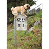 Avanti Pug Keep Off Sign Birthday Greeting Card