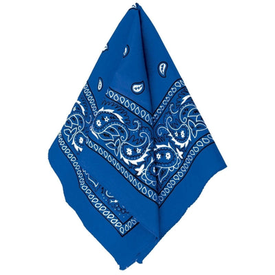 Blue Bandana