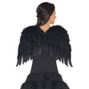 Black Feather Wings