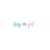 Blue Or Pink Gender Reveal Banner, 7Ft