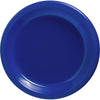 Bright Royal Blue Plastic Plates, 10 1/4"