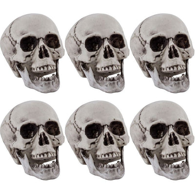 Bag Of Skulls 6 Pc