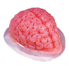 Gelatin Mold - Brain