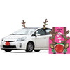 Glitzy Reindeer Car Kit