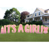 It's A Girl Giant Yard Sign Kit