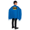 Justice League Heroes Unite Tm Batman & Superman Capes