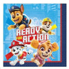 Paw Patrol Tm Adventures Beverage Napkins