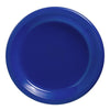 Bright Royal Blue Plastic Plates, 7"