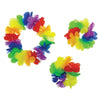 Rainbow Hawaiian Accessory Pack