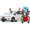 Reindeer Car Kit