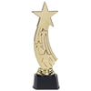 Shooting Star Award