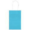 Turquoise Value Pack Paper Cub Bags