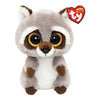 Ty - Oakie Raccoon Reg