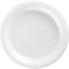 White Plastic Plates, 10 1/4"